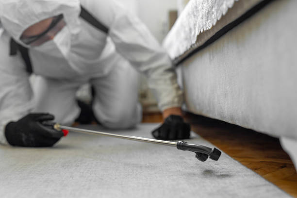 Professional Bed Bug Control technician working in Gem County County, ID